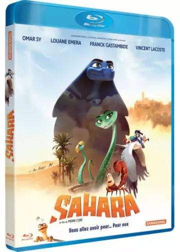Sahara [HDLIGHT 1080p] - FRENCH