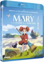 Mary et la fleur de la sorcière [BLU-RAY 720p] - FRENCH