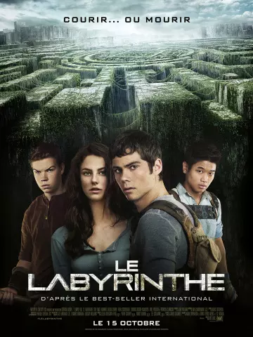 Le Labyrinthe [BDRIP] - TRUEFRENCH