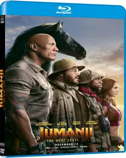 Jumanji: next level [HDLIGHT 720p] - FRENCH