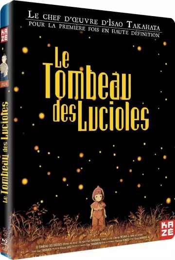 Le Tombeau des lucioles [HDLIGHT 1080p] - MULTI (FRENCH)