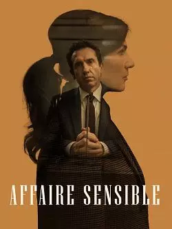 Affaire sensible [WEB-DL 1080p] - MULTI (FRENCH)