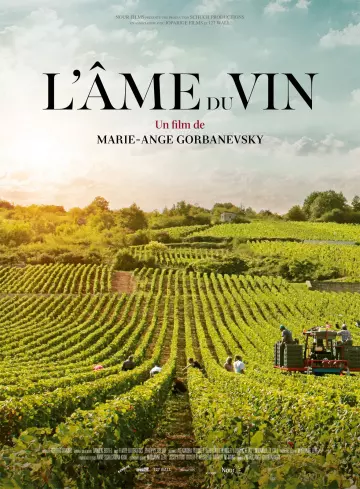L'Âme du vin [WEB-DL 1080p] - FRENCH