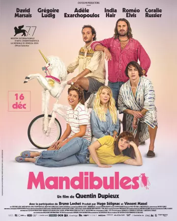 Mandibules [WEB-DL 1080p] - FRENCH