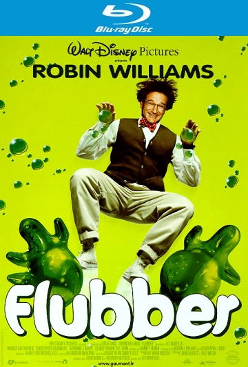Flubber [HDLIGHT 1080p] - MULTI (TRUEFRENCH)