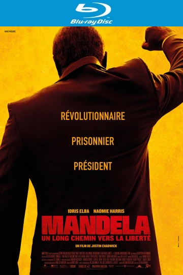 Mandela : Un long chemin vers la liberté [HDLIGHT 1080p] - MULTI (FRENCH)
