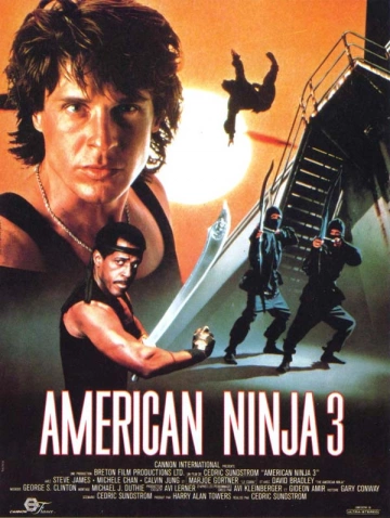 American Ninja 3 [DVDRIP] - FRENCH