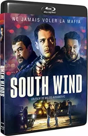 South Wind [HDLIGHT 720p] - FRENCH