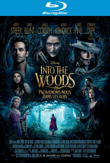 Into the Woods, Promenons-nous dans les bois [HDLIGHT 1080p] - MULTI (TRUEFRENCH)