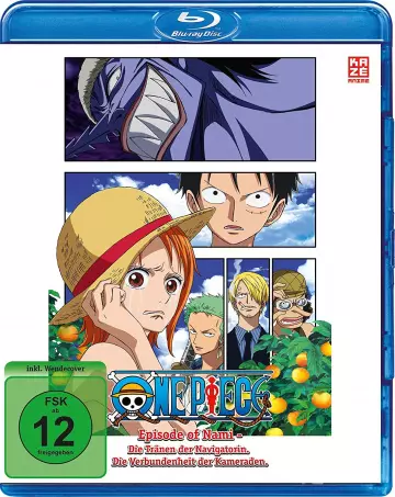 One Piece : Episode de Nami (TV) [BLU-RAY 720p] - FRENCH