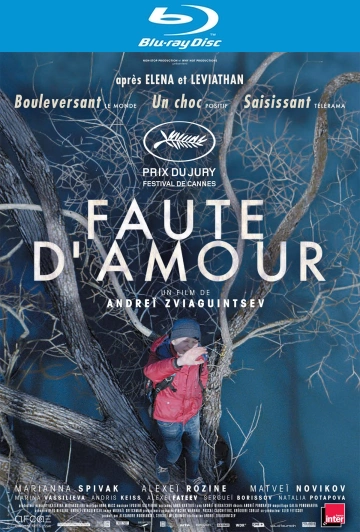 Faute d'amour [HDLIGHT 1080p] - MULTI (FRENCH)