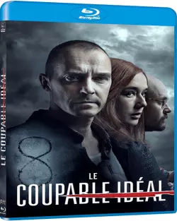 Le Coupable idéal [BLU-RAY 1080p] - MULTI (FRENCH)