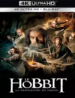 Le Hobbit : la Désolation de Smaug [BLURAY REMUX 4K] - MULTI (FRENCH)
