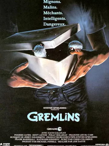 Gremlins [DVDRIP] - FRENCH