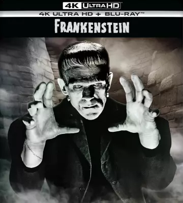 Frankenstein [4K LIGHT] - MULTI (FRENCH)