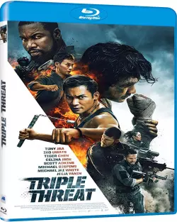 Triple Threat [HDLIGHT 1080p] - MULTI (FRENCH)