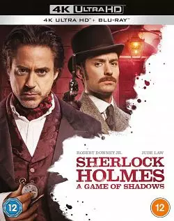 Sherlock Holmes 2 : Jeu d'ombres [4K LIGHT] - MULTI (TRUEFRENCH)