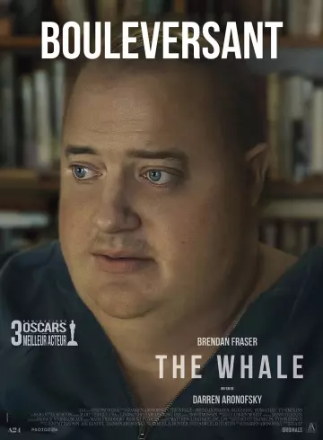 The Whale [WEB-DL 1080p] - MULTI (FRENCH)