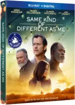 Same Kind Of Different As Me [BLU-RAY 1080p] - FRENCH