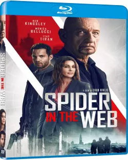 Spider in the Web [BLU-RAY 720p] - FRENCH