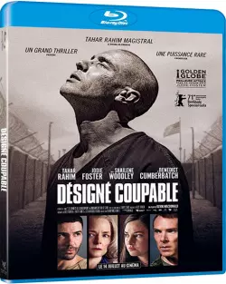Désigné Coupable [BLU-RAY 1080p] - MULTI (TRUEFRENCH)