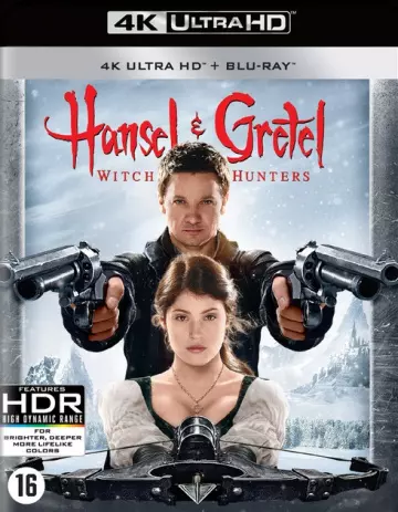 Hansel & Gretel : Witch Hunters [4K LIGHT] - MULTI (TRUEFRENCH)