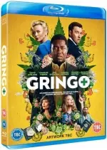 Gringo [HDLIGHT 720p] - FRENCH