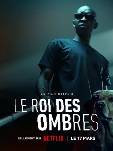 Le Roi des Ombres  [HDRIP] - FRENCH