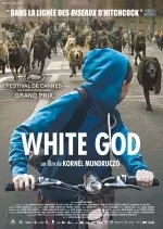 White God [BDRiP] - FRENCH