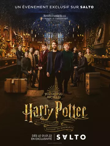 Harry Potter : Retour à Poudlard [WEB-DL 1080p] - VOSTFR