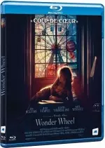 Wonder Wheel [BLU-RAY 1080p] - FRENCH