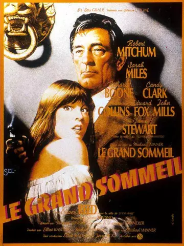 Le Grand sommeil [BDRIP] - FRENCH