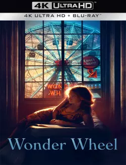 Wonder Wheel [WEB-DL 4K] - MULTI (FRENCH)