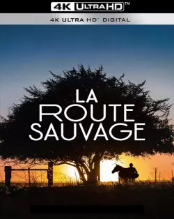 La Route sauvage (Lean on Pete) [WEB-DL 4K] - MULTI (FRENCH)