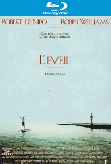 L'Eveil [HDLIGHT 1080p] - MULTI (FRENCH)