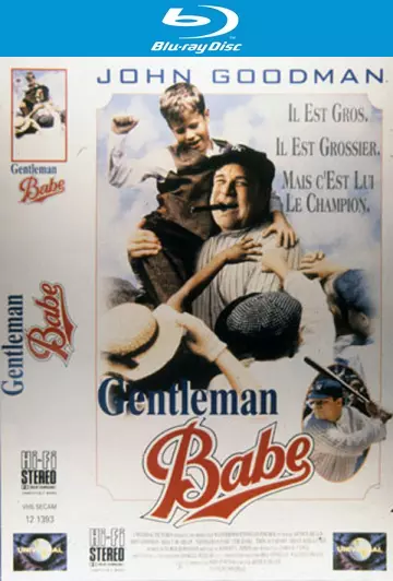Gentleman Babe [HDLIGHT 1080p] - MULTI (FRENCH)
