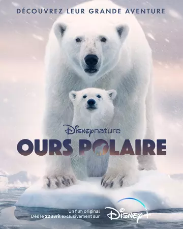 Ours Polaire [WEB-DL 720p] - FRENCH