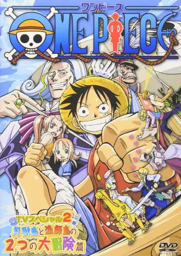 One Piece SP 3 : Protégeons-la ! La dernière grande scène [DVDRIP] - VOSTFR