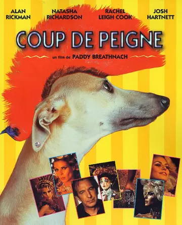 Coup de peigne [DVDRIP] - FRENCH