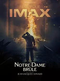 Notre-Dame brûle [BDRIP] - FRENCH