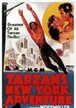 Les Aventures de Tarzan à New York [DVDRIP] - FRENCH