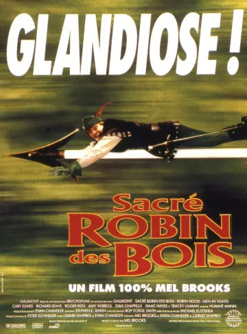 Sacré Robin des Bois [HDLIGHT 1080p] - MULTI (TRUEFRENCH)