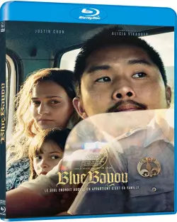 Blue Bayou [BLU-RAY 720p] - TRUEFRENCH
