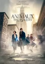 Les Animaux fantastiques [BDRIP] - TRUEFRENCH