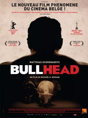 Bullhead [HDLIGHT 1080p] - MULTI (FRENCH)