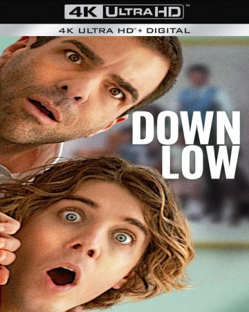 Down Low [WEB-DL 4K] - MULTI (FRENCH)
