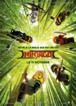 LEGO Ninjago : Le Film [BDRIP] - TRUEFRENCH