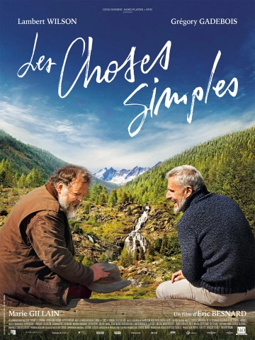 Les Choses simples [HDRIP] - FRENCH