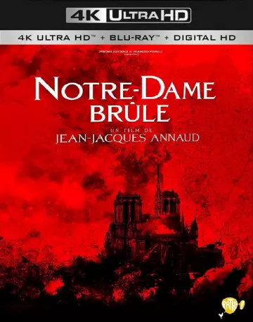 Notre-Dame brûle [4K LIGHT] - FRENCH