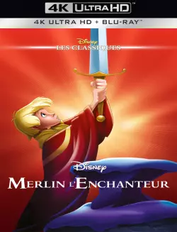 Merlin l'enchanteur [WEB-DL 4K] - MULTI (TRUEFRENCH)